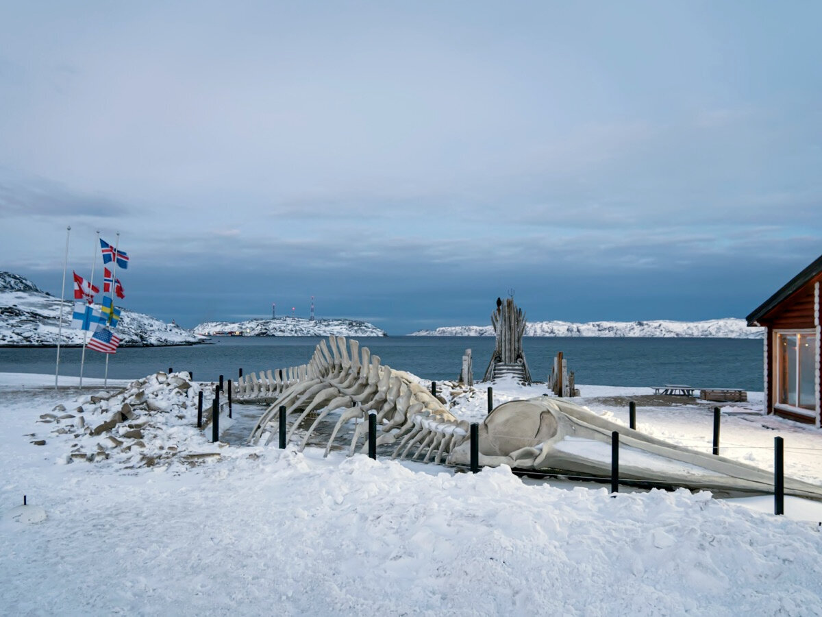 Режиссёр Андрей Звягинцев установил на берегу острова 28-метровый скелет Левиафана. А сам фильм был номинирован на «Оскар» как «Лучший фильм на иностранном языке». Фото: Shutterstock