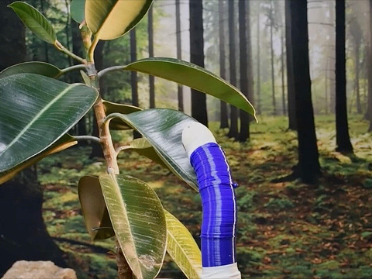    Создан робот, растущий подобно виноградной лозе [ВИДЕО]