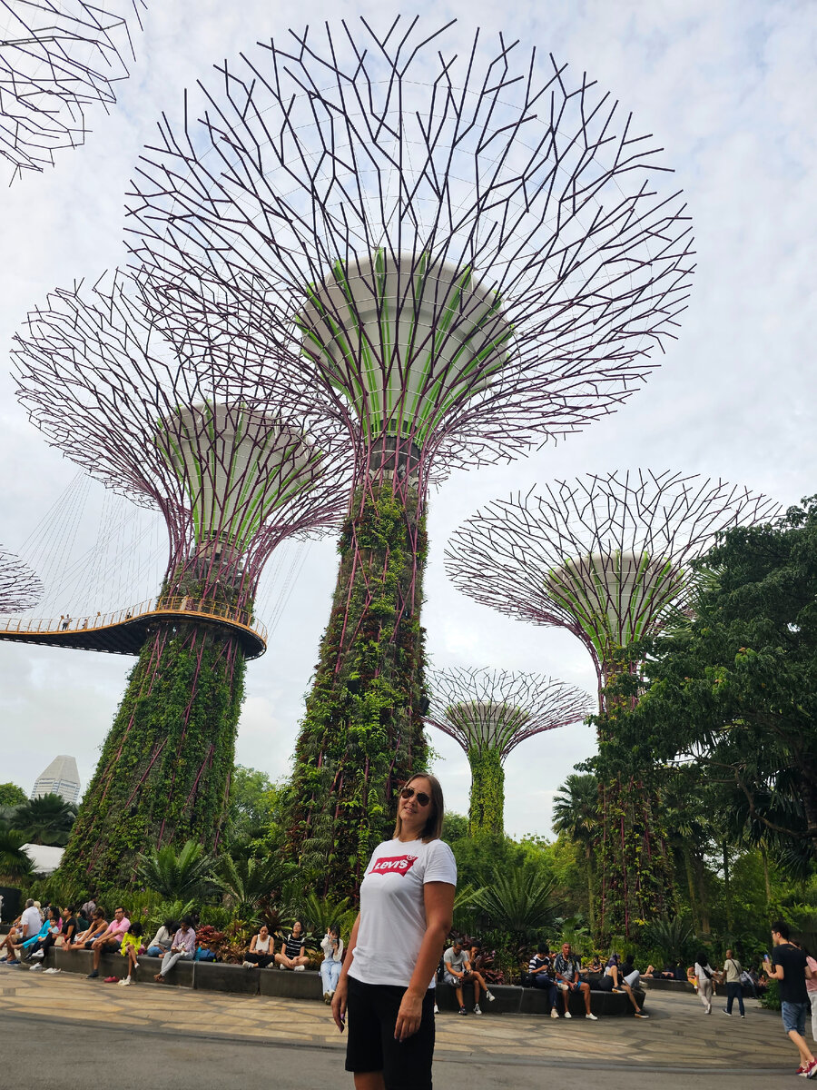 Сады у залива днём