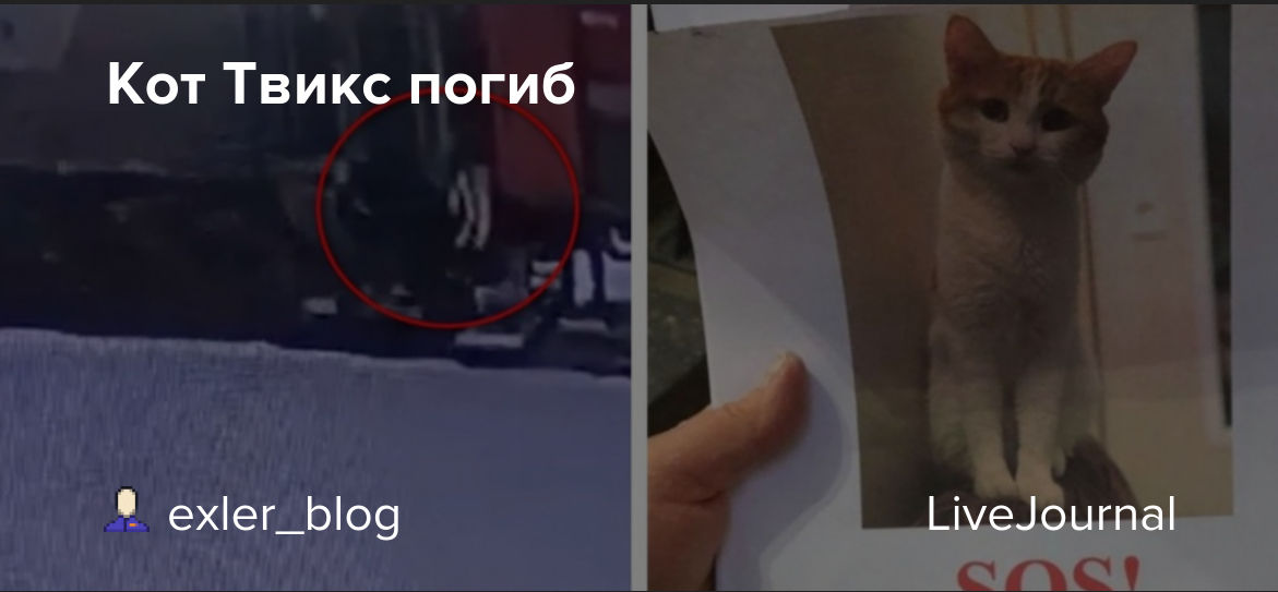 Если хочешь остаться останься навсегда. Если хочешь остаться останься навсегда