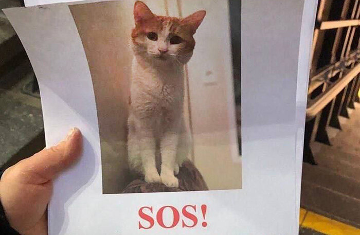    Фото: социальные сети