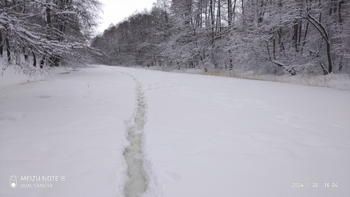 Фото авторато автора