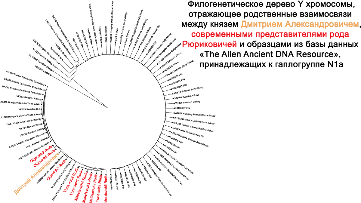 Откуда человек родом по английски