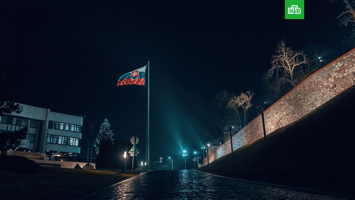    Фото: Michael Pointner / unsplash.com