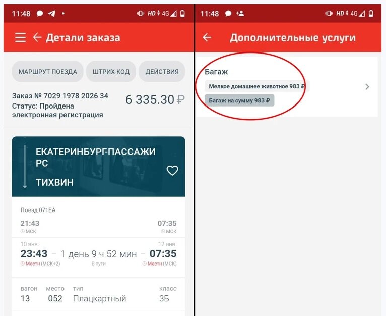 За перевозку кота железнодорожники взяли плату 983 рубля. Но это, как показала практика, не гарантирует, что животное не угробят по дороге