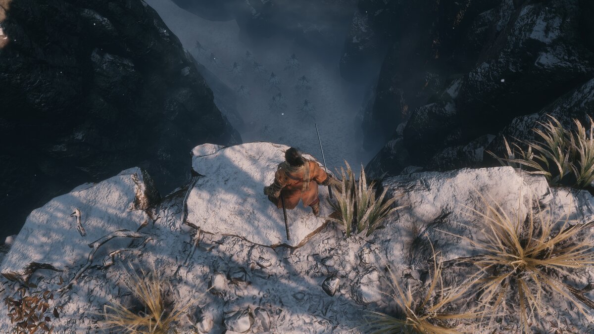 Синоби над пропастью. Скриншот из игры «Sekiro. Shadows die twice»