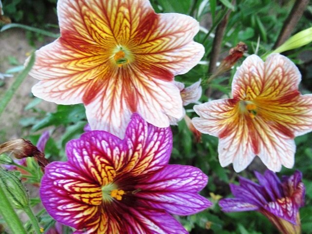 личное фото автора статьи