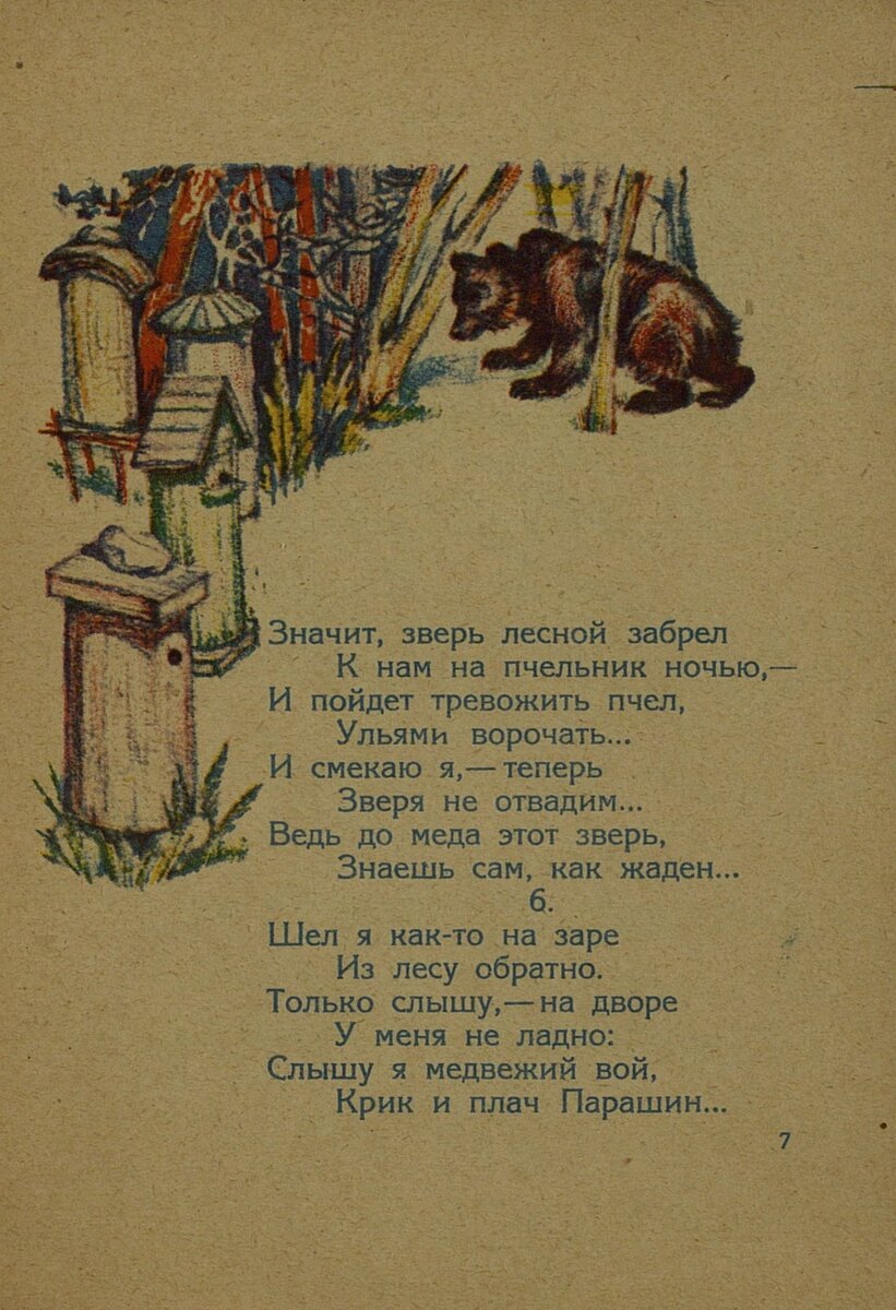 Медведь федора