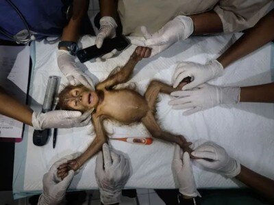    Фотоконкурс The Nature Photography Contest показал сложные эмоции животных