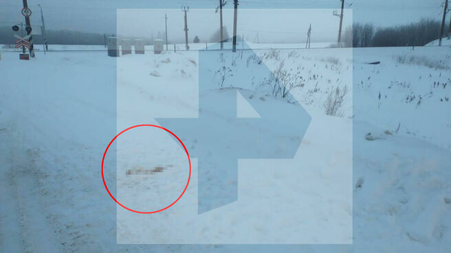 Фото: © РЕН ТВ