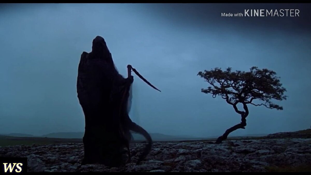 Из открытых источников