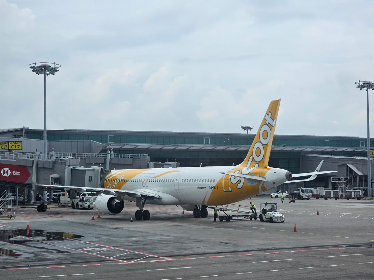 Летели в Сингапур и из него авиакомпанией Scoot