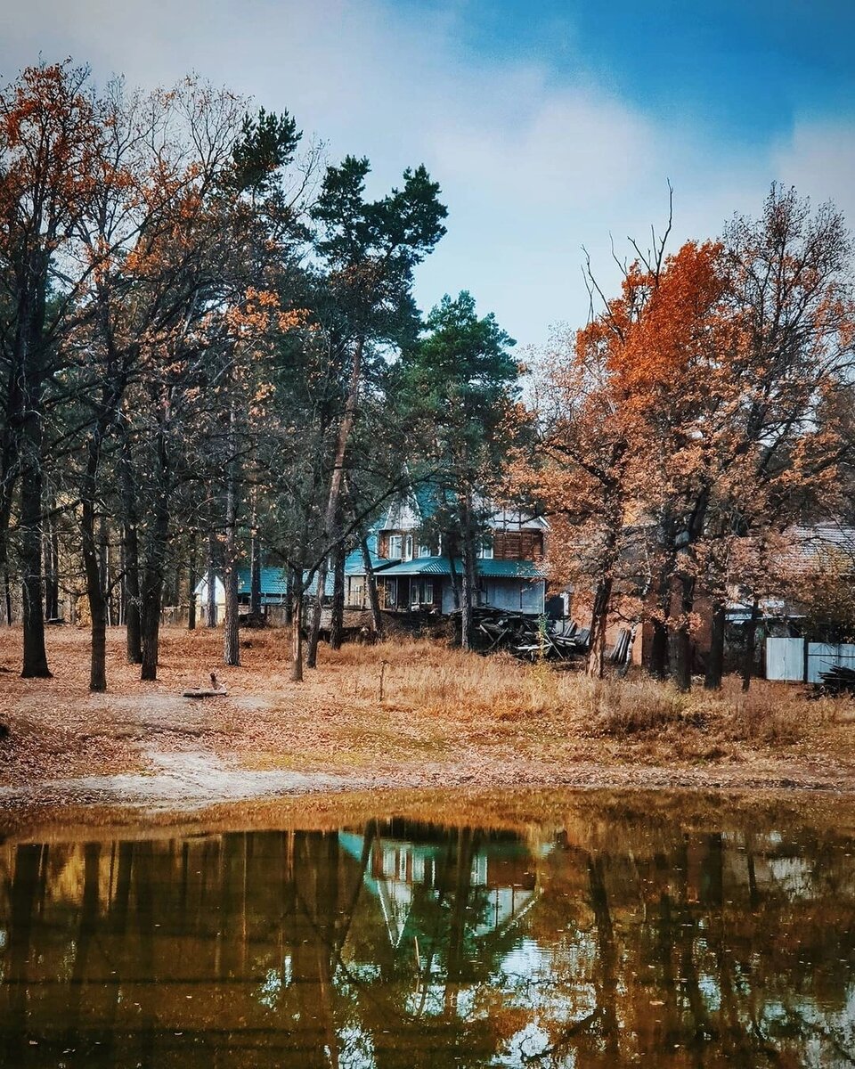 🔶 Озеро в лесу 