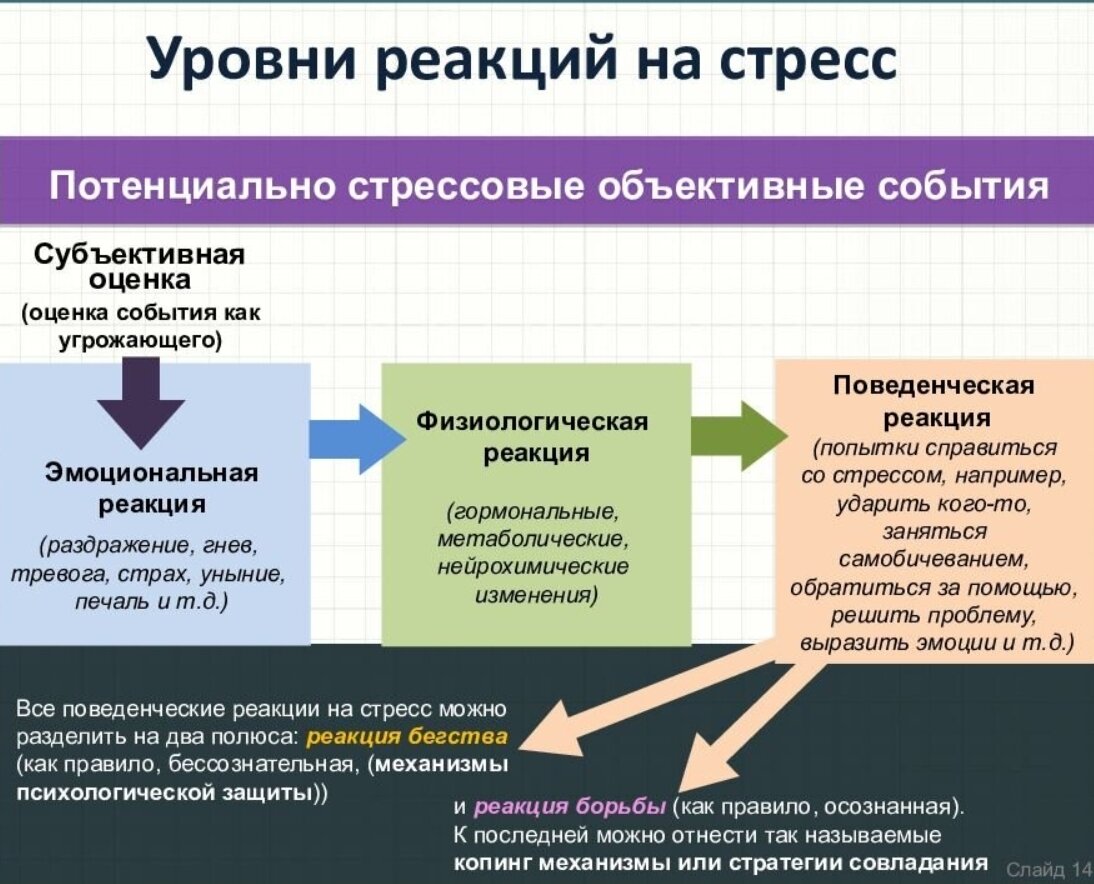 Поведенческие стрессовые реакции. Типы проявления стрессовой реакции. Реакции организма на стрессовые ситуации. Стрессовая реакция физиологическая. Виды реагирования на стресс.