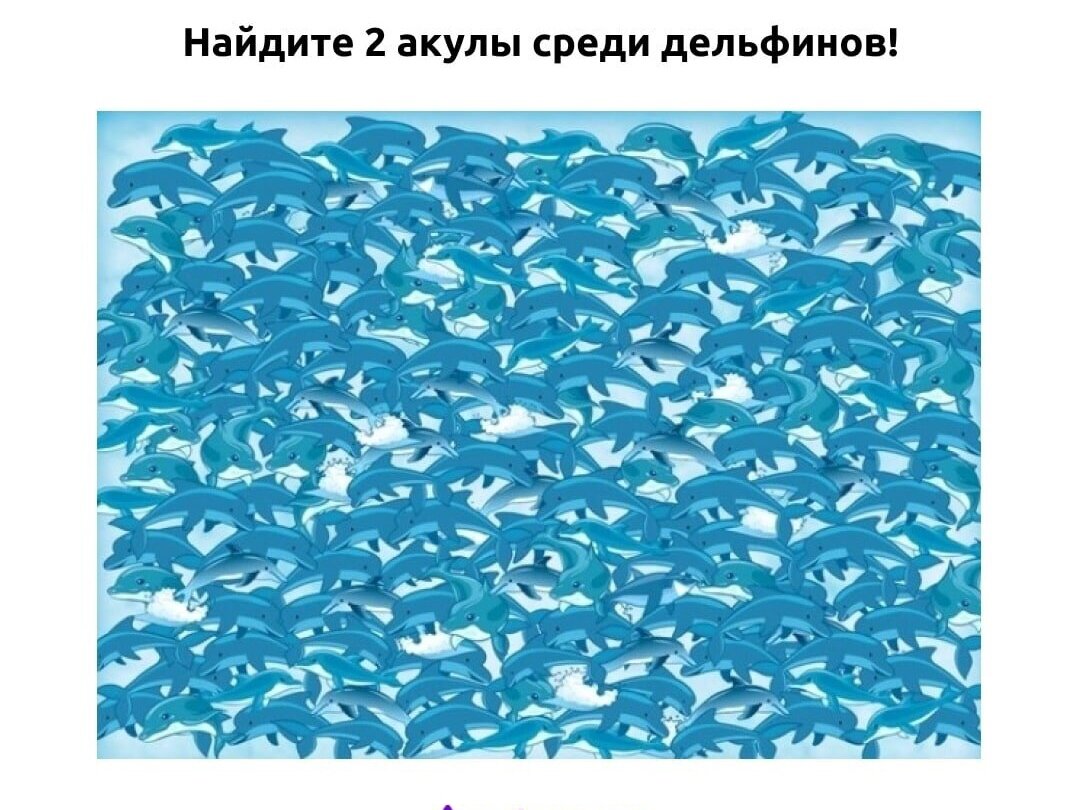 Фото из общедоступной сети Интернет