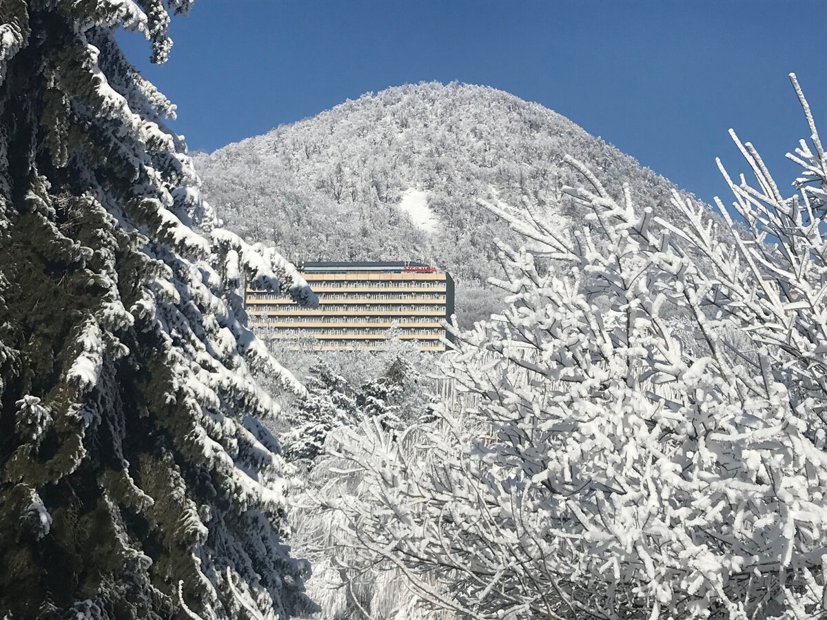 центросоюз кисловодск бассейн. откроют ли санаторий. откроют ли санаторий. центросоюз кисловодск бассейн. работает ли санаторий в зубрилов.