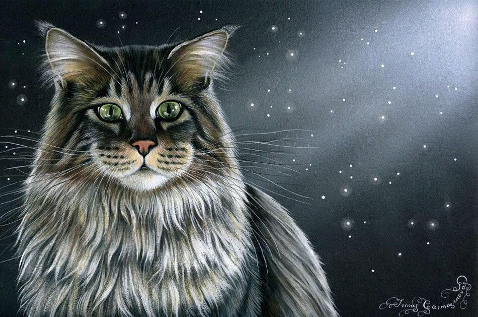 ������� ��������� ����� ����������