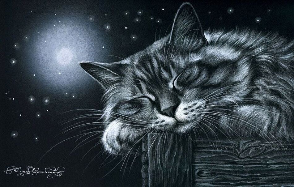 ������� ��������� ����� ����������