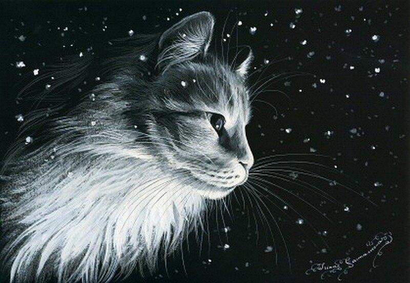 ������� ��������� ����� ����������