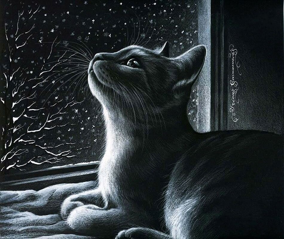 ������� ��������� ����� ����������