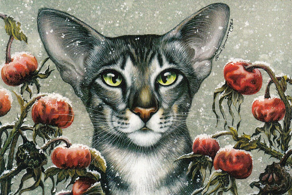 ������� ��������� ����� ����������