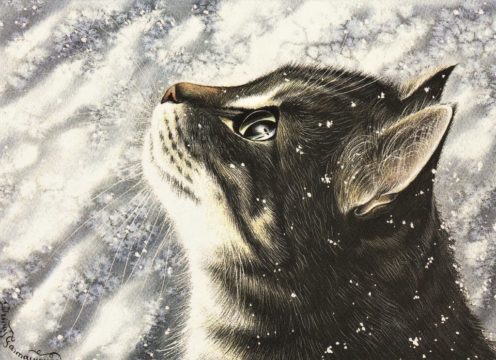 ������� ��������� ����� ����������