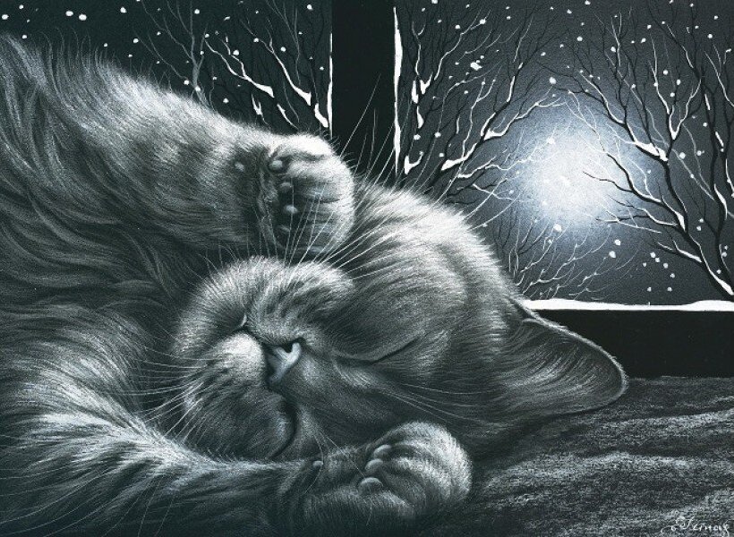 ������� ��������� ����� ����������