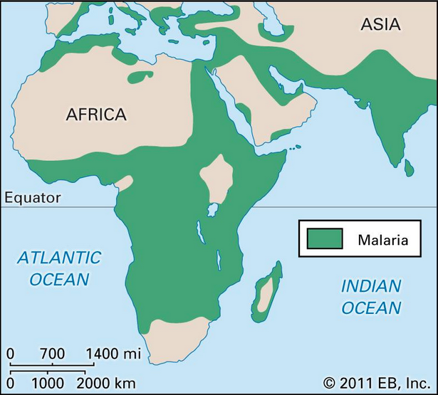 Территории распространения малярии в Старом Свете.