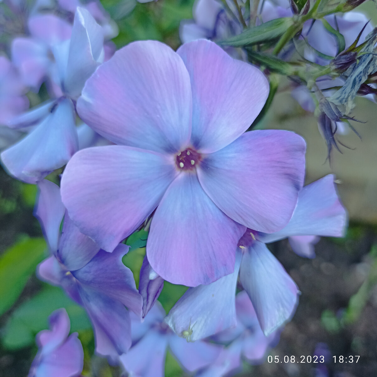 Фото автора