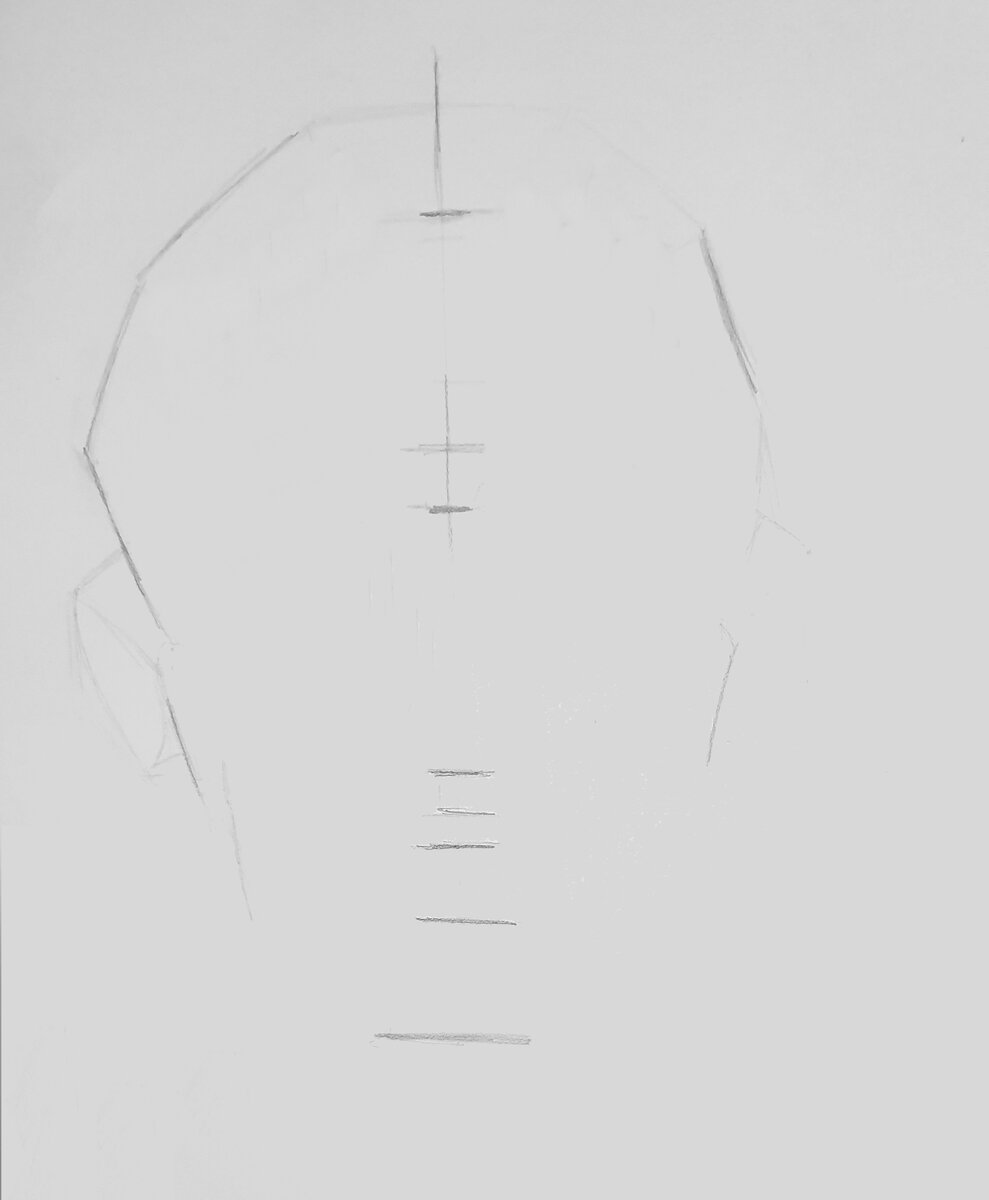 1. Намечаем общие пропорции: срединную линию, уровень глаз, носа, губ