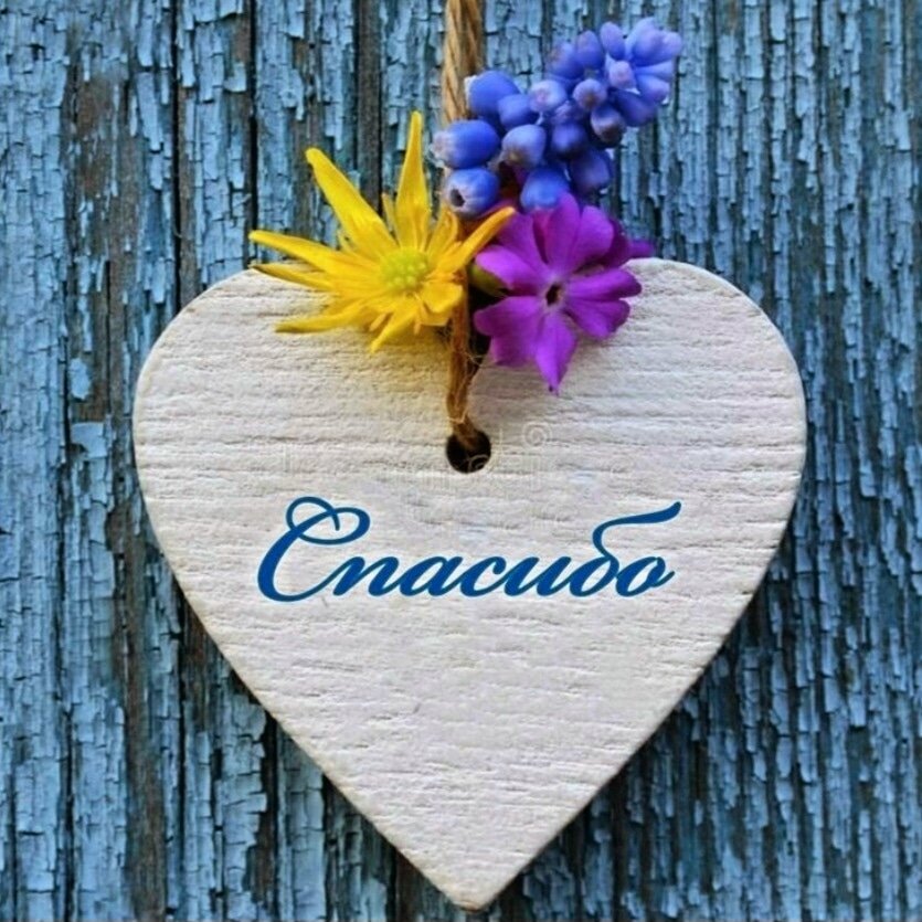 Нет на свете излишества прекраснее, чем излишек благодарности.           Жан де Лабрюйер