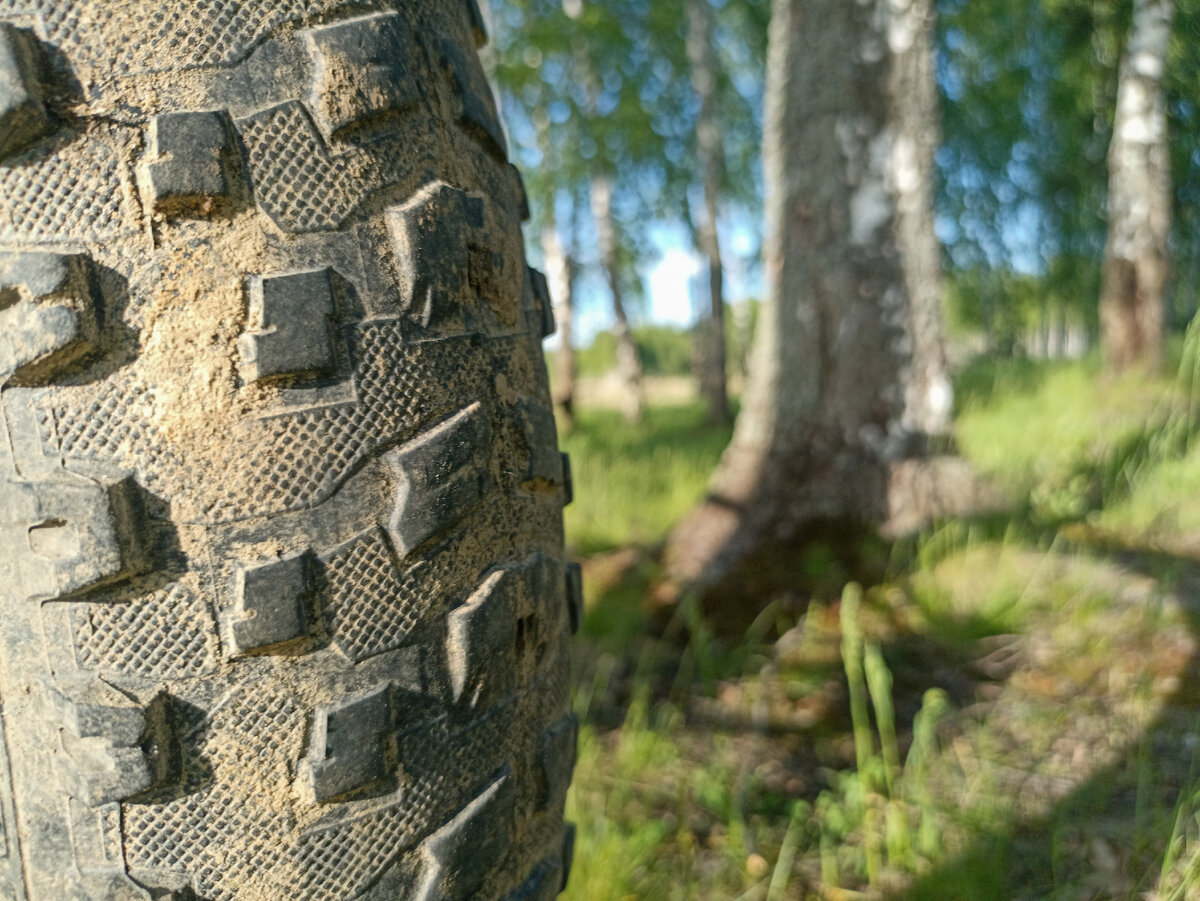 Грязное колесо в березовой роще