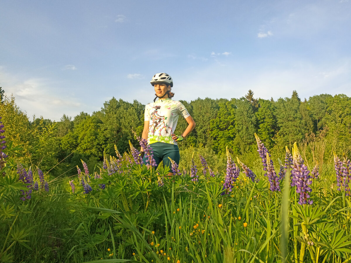 На смоленских просторах