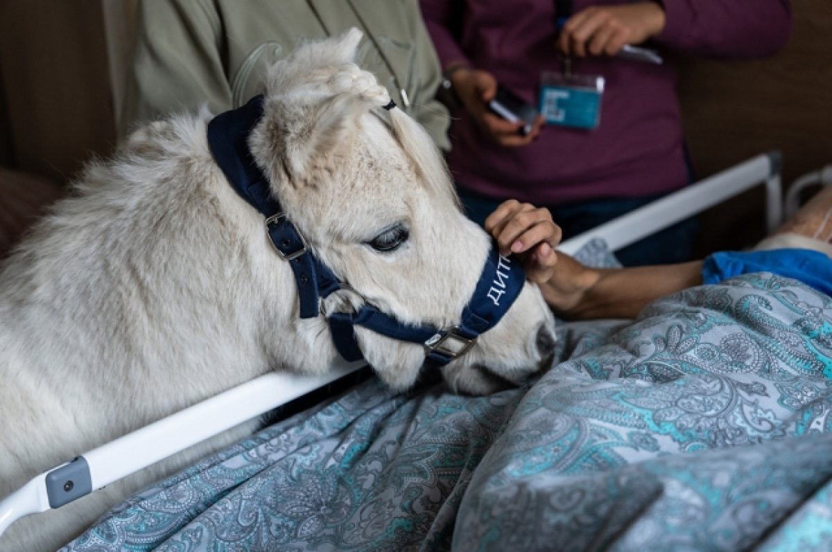    Пони Дитрих.