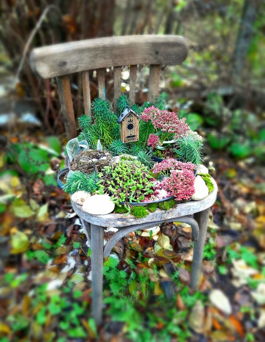 что можно сделать из растений. волшебное колесо. что можно сделать из растений. кувшин для сада. горшок для цветов своими руками.