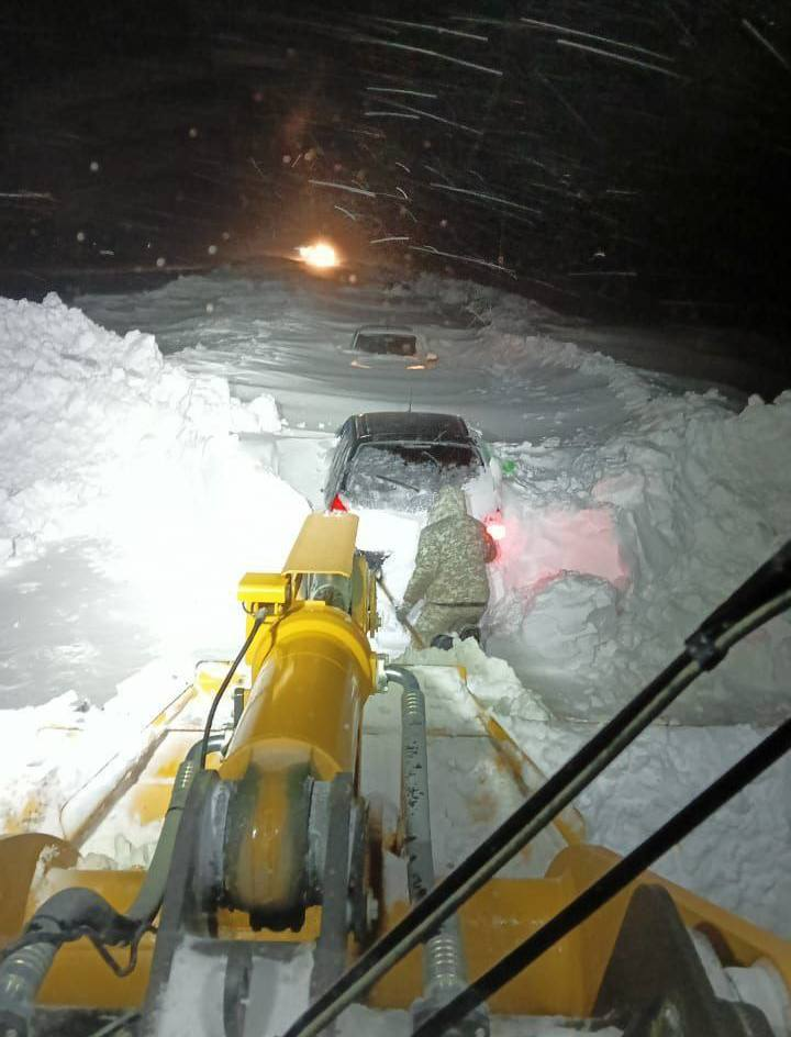 александр мохов картины рождественские. спяяят устаалые игрушки. иллюстрациик колыбелтным. спокойной ночи спят усталые игрушки. текст колыбельной спят усталые игрушки книжки.