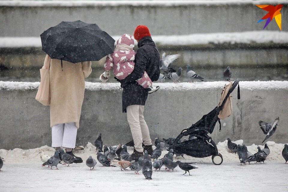 освидетельствование нарколога. частный нарколог. волков алексей владимирович врач. нарколог мытищи на дом. кабинет нарколога дверь.