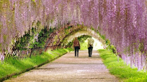 умные мысли и высказывания. разумны мои страхи ну да безумны. разумны ли ваши страхи песня. внешность бывает обманчива. наивысшая власть власть над собой.