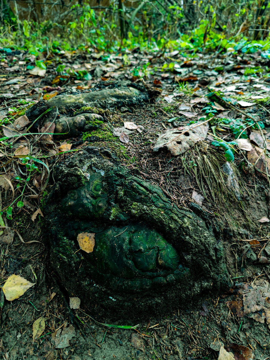 шуточные предсказания на новый год. шуточные предсказания на новый год 2023. новогодние смешные пожелания предсказания на бумажках смешные. предсказания на год дракона 2024 короткие. 2024 год год дракона.