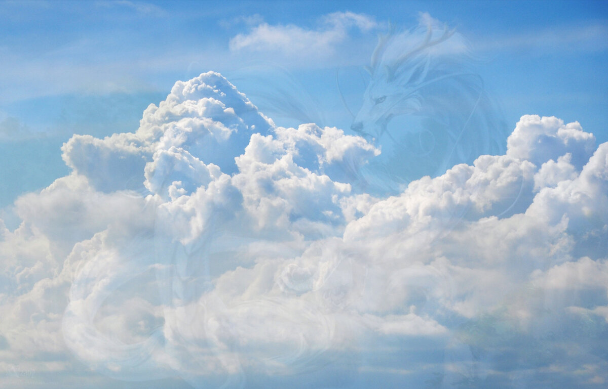 Тянь-Лун, небесный дракон. Коллаж из одиноких сетевых файлов