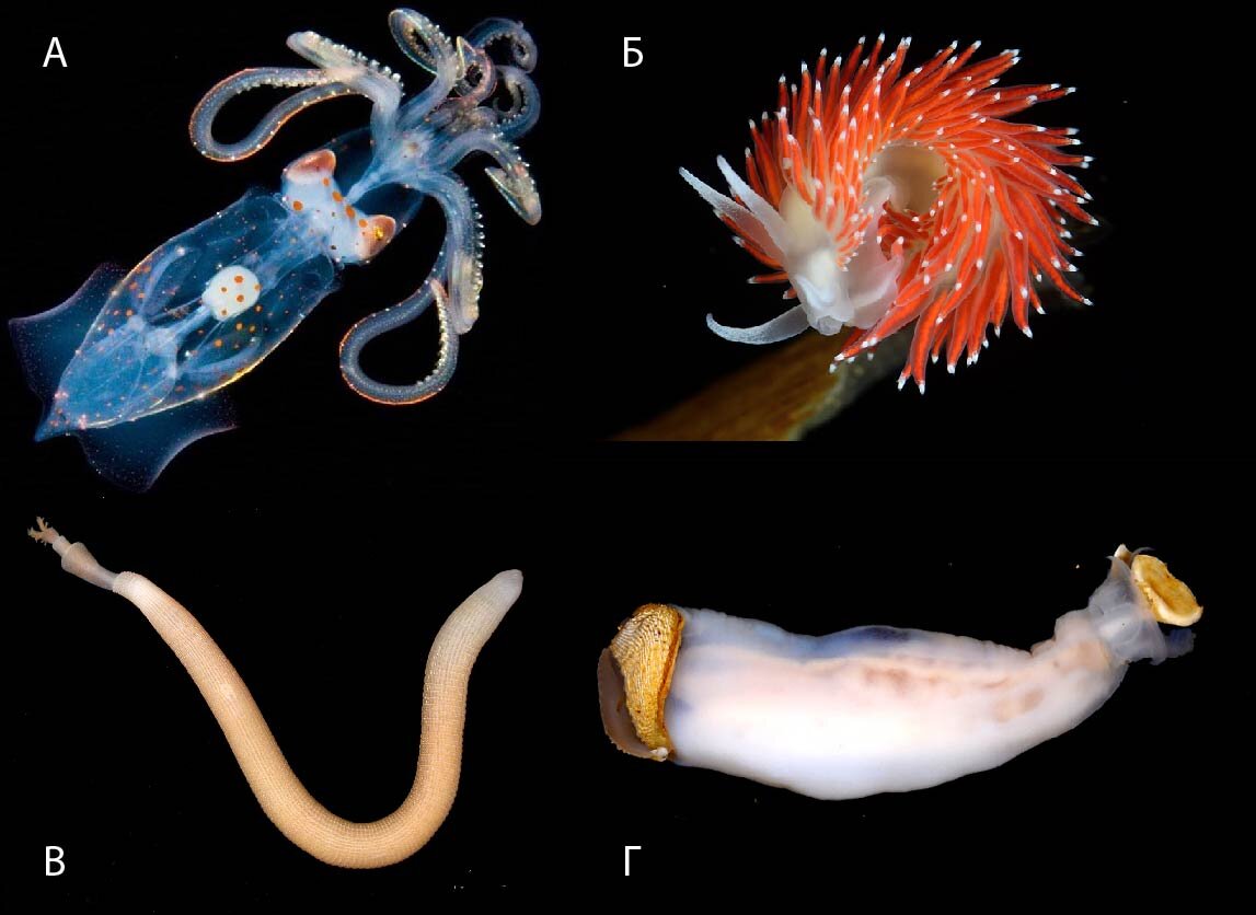 физика 7 класс упражнение 20 2023