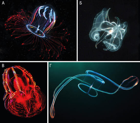Всероссийская олимпиада школьников по физике. Ответы по олимпиаде по химии 9 класс школьный этап. Мош физика 2022. Мош по физике 7 класс 2023. Олимпиадные задачи по физике 9 класс с решениями.