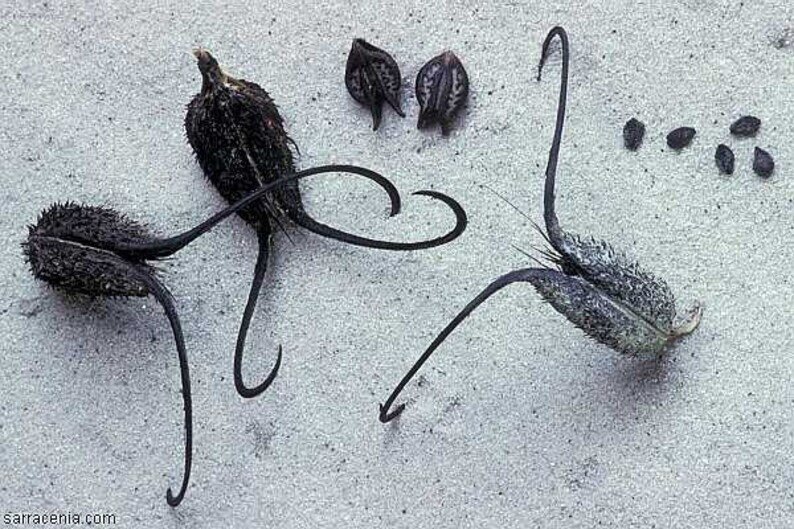 домашнее задание по русскому языку разумовская. гдз русский язык 6 класс ладыженская. гдз русский язык 5 класс. тест по русскому языку 6 класс лидман-орлова. русский язык 6 класс упражнение 494.