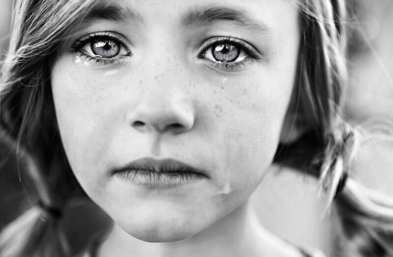 В свободном доступе