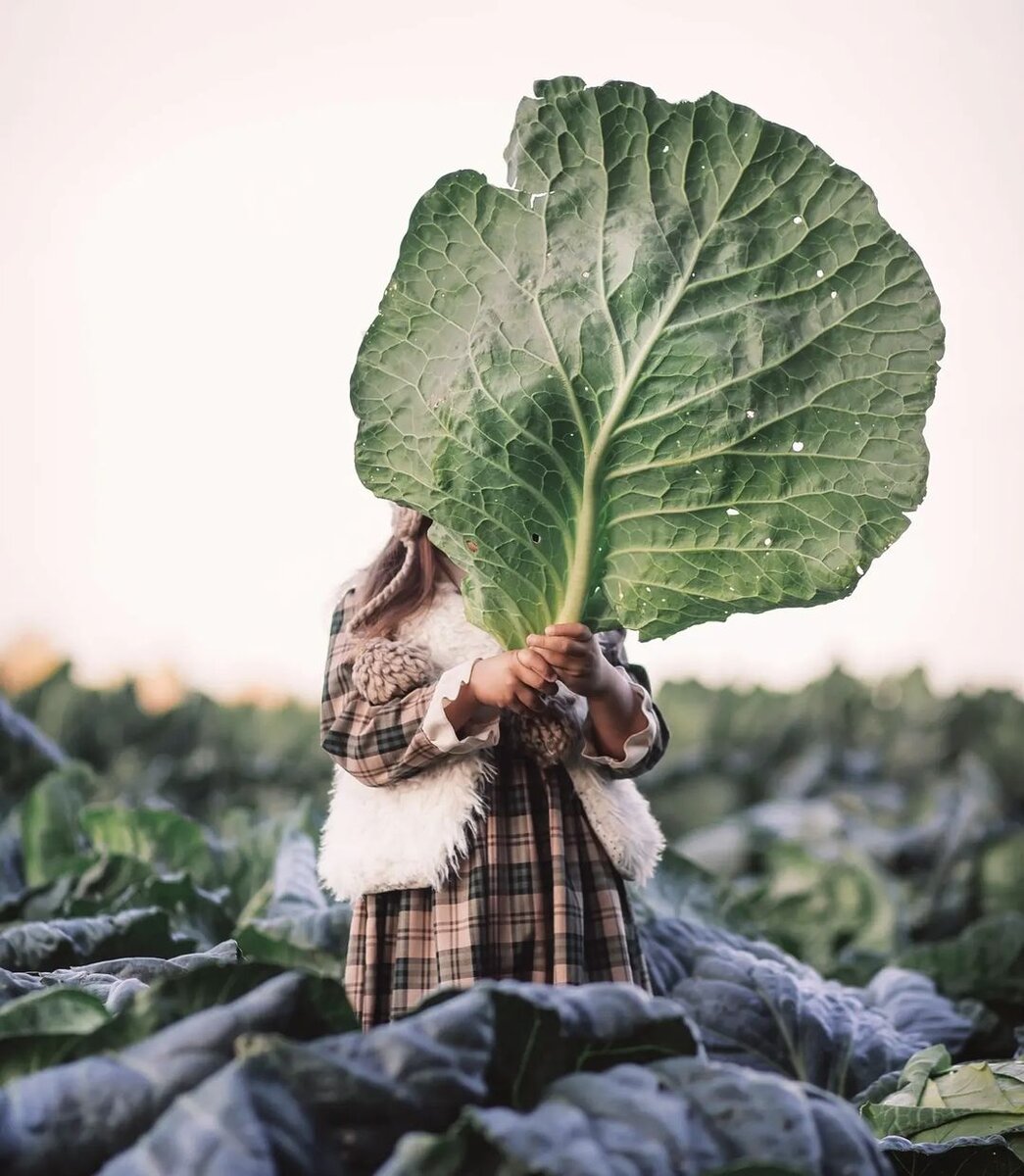 Ваша таша. Ваша таша видео. Ваша таша. Ваша таша видео. Mixxendi сек.