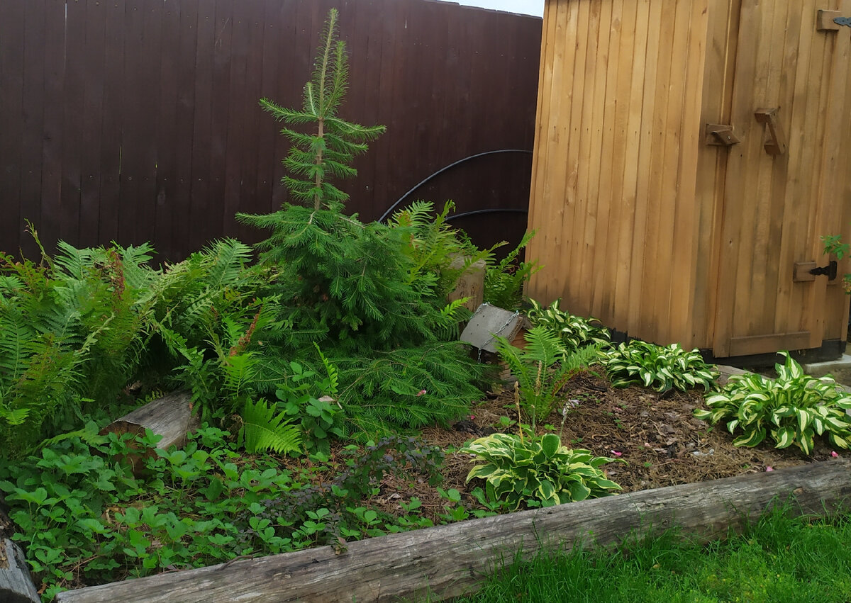 снится мне деревня отпусти. снится мне деревня. так хочется на родину. снится мне село стихи. снится мне деревня отпусти.