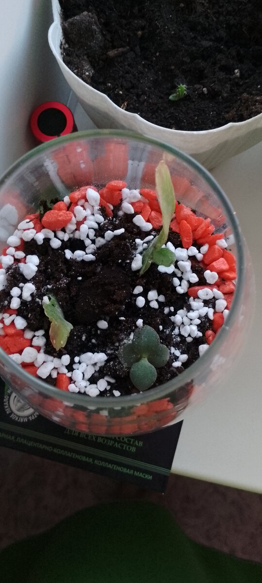 Вид с верху.