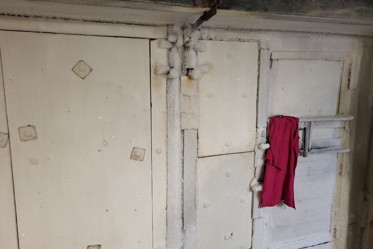 снежный куржак на гаражных воротах