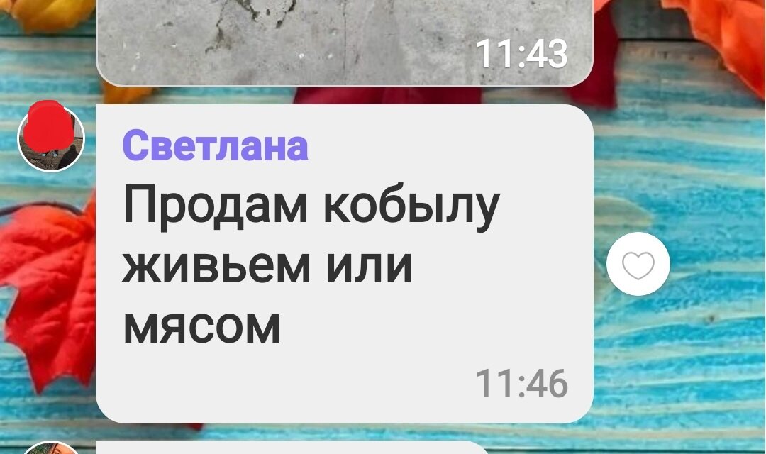 Скриншот объявления в вайбере