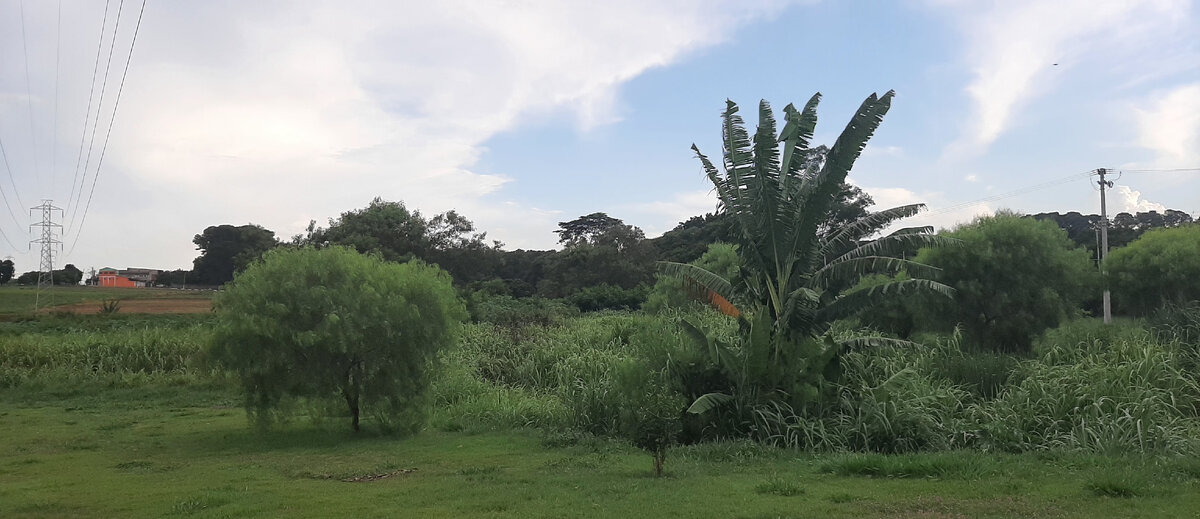 Анкета. Основные правила формулировки вопросов. Апробация анкеты это. Вопросы для анкеты да или нет. На какие вопросы затрудняешься ответить.
